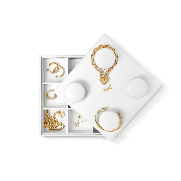 The RZ Archive Case X 4