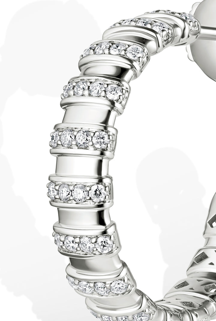 Celestial - Cascading Brilliance The Hoops White Gold Edition